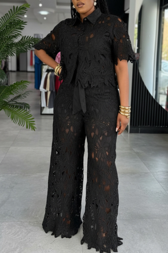 Daily Elegant Solid Color Lace Turndown Collar Short Sleeve Two Pieces