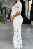 Daily Elegant Solid Color Lace Turndown Collar Short Sleeve Two Pieces