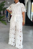 Daily Elegant Solid Color Lace Turndown Collar Short Sleeve Two Pieces