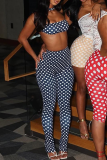 Sexy Polka Dot Contrast O Neck Sleeveless Two Pieces