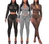 Solid Color Colorblock Zipper Long Sleeve Two Pieces