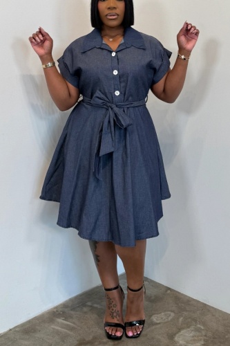 Casual Solid Color Turndown Collar A Line Dresses