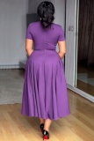 Plus Size Formal Solid Color V Neck A Line Plus Size Dresses