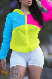 Yellow Polyester V Neck Long Sleeve Geometric Zippered Patchwork  rash guards
