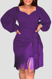 Purple Casual Solid Tassel Patchwork Asymmetrical V Neck Straight Dresses