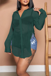Ink Green Sexy Casual Solid See-through Shirt Collar Tops