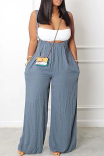 Baby Blue Sexy Casual Solid Backless Spaghetti Strap Sleeveless Two Pieces
