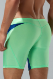Dark Green Sportswear Color Lump Patchwork Swim Trunks