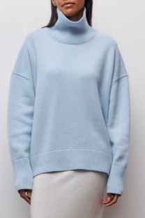 Light Blue Casual Solid Basic Turtleneck Tops