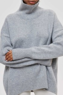 Silver Gray Casual Solid Basic Turtleneck Tops
