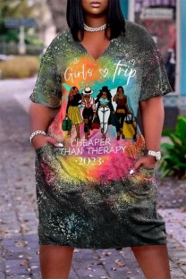 Multicolor Casual Print Basic V Neck Short Sleeve Dress