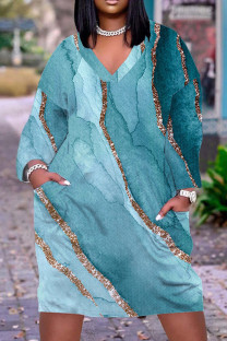 Light Blue Casual Print Basic V Neck Long Sleeve Dresses