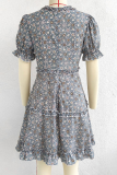 Casual Elegant Print Split Joint Stringy Selvedge V Neck A Line Dresses