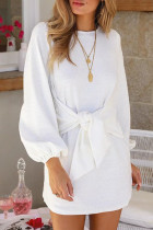 Fashion Casual Solid Split Joint O Neck A Line Dresses
