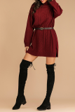 Casual Solid Split Joint Without Belt Turtleneck Dresses Sweater