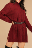 Casual Solid Split Joint Without Belt Turtleneck Dresses Sweater