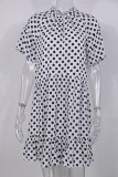 Fashion Casual Dot Split Joint O Neck A Line Dresses