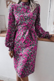 Fashion Casual Print Frenulum Mandarin Collar A Line Dresses