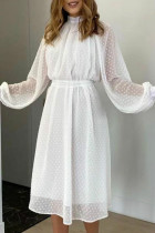 Fashion Elegant Solid Split Joint Half A Turtleneck A Line Dresses