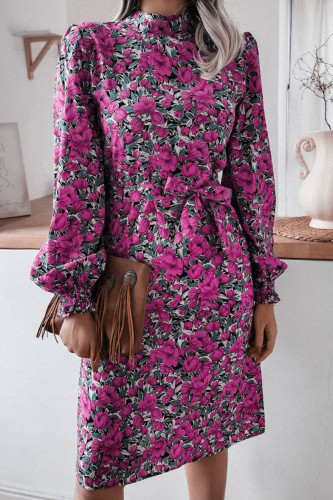 Fashion Casual Print Frenulum Mandarin Collar A Line Dresses