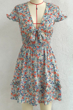 Casual Elegant Floral Flounce Strap Design V Neck Dresses