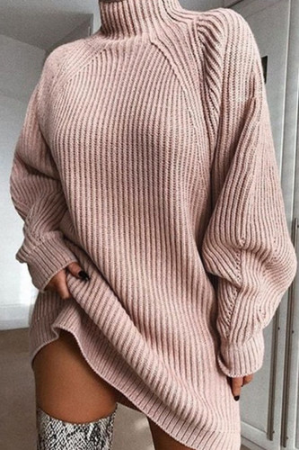 Fashion Solid Turtleneck Straight Dresses