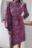 Fashion Casual Print Frenulum Mandarin Collar A Line Dresses