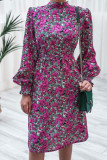 Fashion Casual Print Frenulum Mandarin Collar A Line Dresses