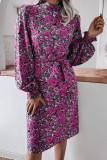 Fashion Casual Print Frenulum Mandarin Collar A Line Dresses