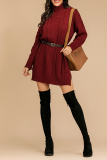 Casual Solid Split Joint Without Belt Turtleneck Dresses Sweater