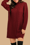 Casual Solid Split Joint Without Belt Turtleneck Dresses Sweater