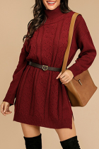 Casual Solid Split Joint Without Belt Turtleneck Dresses Sweater