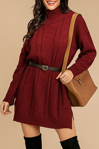 Casual Solid Split Joint Without Belt Turtleneck Dresses Sweater