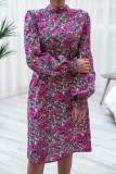 Fashion Casual Print Frenulum Mandarin Collar A Line Dresses