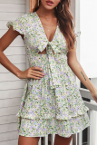 Casual Elegant Floral Flounce Strap Design V Neck Dresses