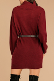 Casual Solid Split Joint Without Belt Turtleneck Dresses Sweater