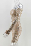 Fashion Elegant Patchwork Lace Embroidered Off the Shoulder Pencil Skirt Dresses