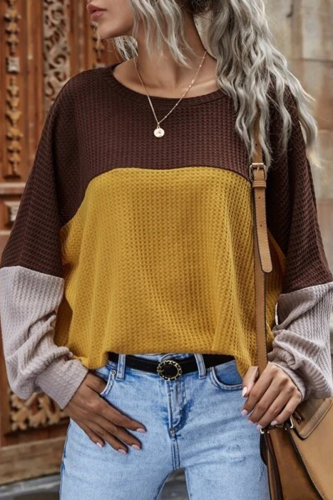 Casual Street Patchwork Contrast O Neck Tops