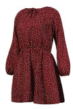Fashion Casual Polka Dot Patchwork V Neck A Line Dresses