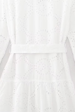 Casual Daily Solid Color Embroidered Hollow Out Lace Up Turndown Collar A Line Dresses