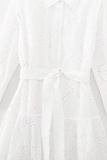 Casual Daily Solid Color Embroidered Hollow Out Lace Up Turndown Collar A Line Dresses
