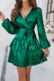 Casual Street Solid Color Lace Up Reflective V Neck A Line Dresses