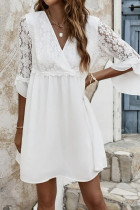 Sexy Vacation Solid Color Lace V Neck A Line Dresses