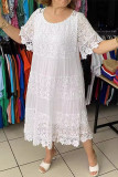 Casual Daily Solid Color Lace O Neck A Line Dresses
