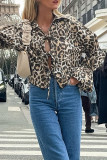 Casual Street Leopard Print Lace Up Turndown Collar Tops