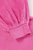 Casual Street Solid Color Fluffy Hooded Long Sleeve Two Pieces
