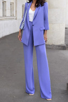 Casual Street Solid Color Buttons Turn-back Collar Long Sleeve Two Pieces(No Belt)