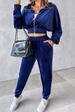 Casual Daily Solid Color Zipper Turndown Collar Long Sleeve Two Pieces