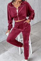 Casual Daily Solid Color Zipper Turndown Collar Long Sleeve Two Pieces