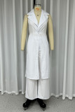 Casual Daily Solid Color Pocket Slit Turndown Collar Sleeveless Two Pieces